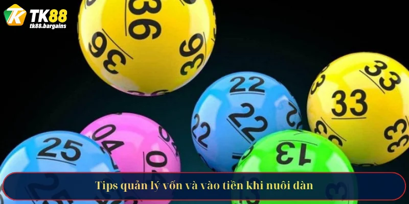 Tips quản lý vốn và vào tiền khi nuôi dàn