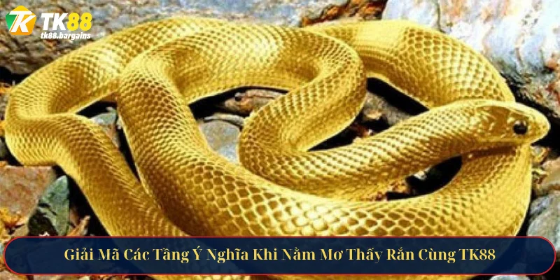 Giải Mã Các Tầng Ý Nghĩa Khi Nằm Mơ Thấy Rắn Cùng TK88