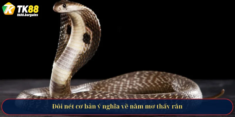 Đôi nét cơ bản ý nghĩa về nằm mơ thấy rắn