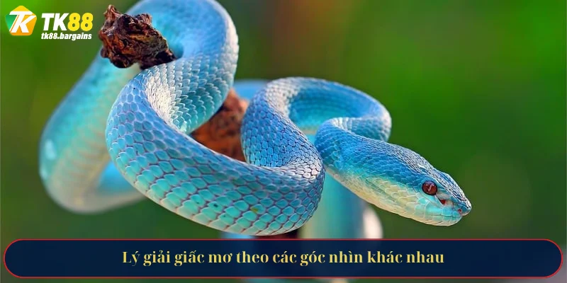 Lý giải giấc mơ theo các góc nhìn khác nhau