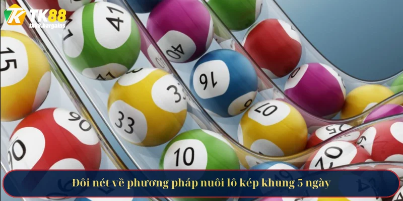 Đôi nét về phương pháp nuôi lô kép khung 5 ngày