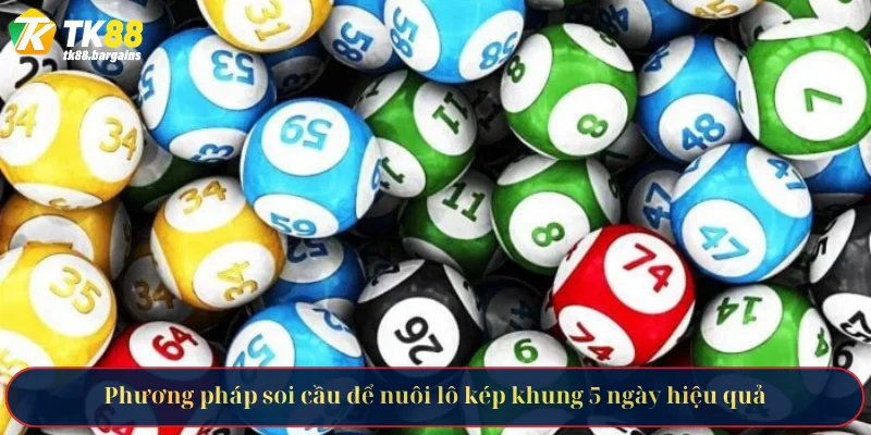 Phương pháp soi cầu để nuôi lô kép khung 5 ngày hiệu quả