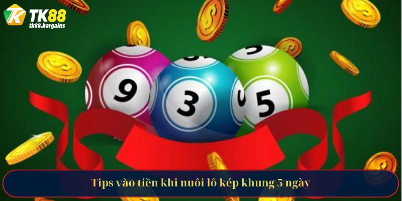 Tips vào tiền khi nuôi lô kép khung 5 ngày